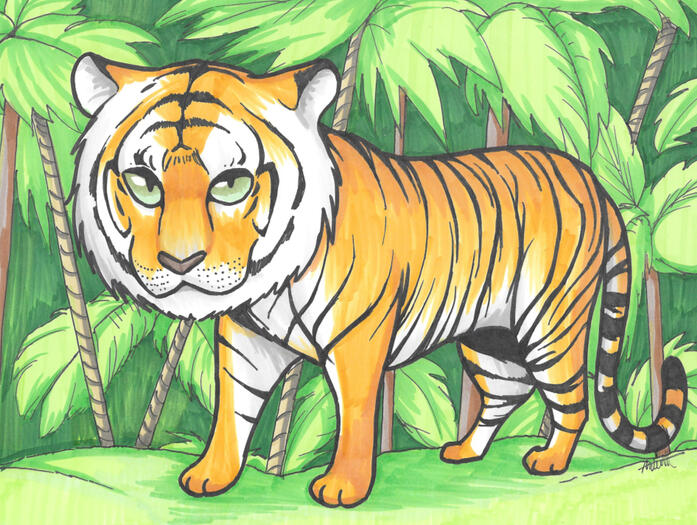 Tiger
